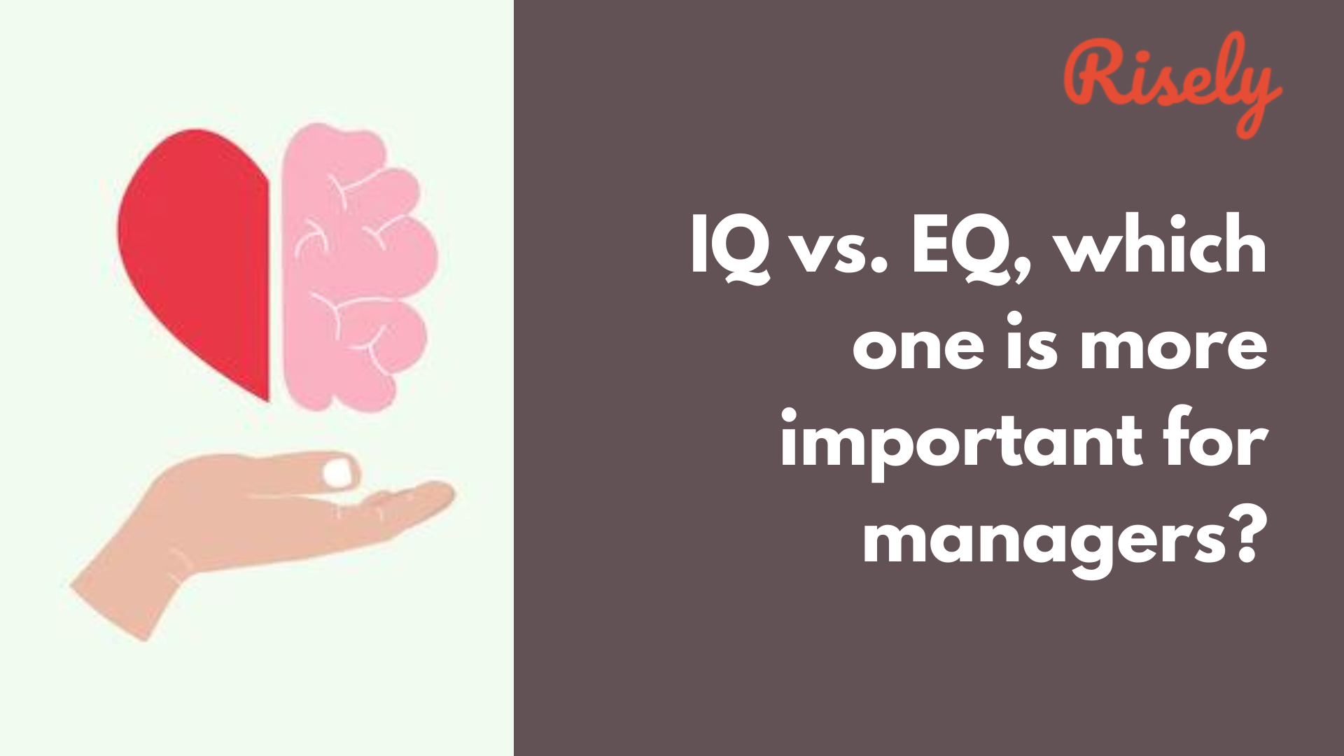 iq-vs-eq-which-one-is-more-important-for-managers-risely