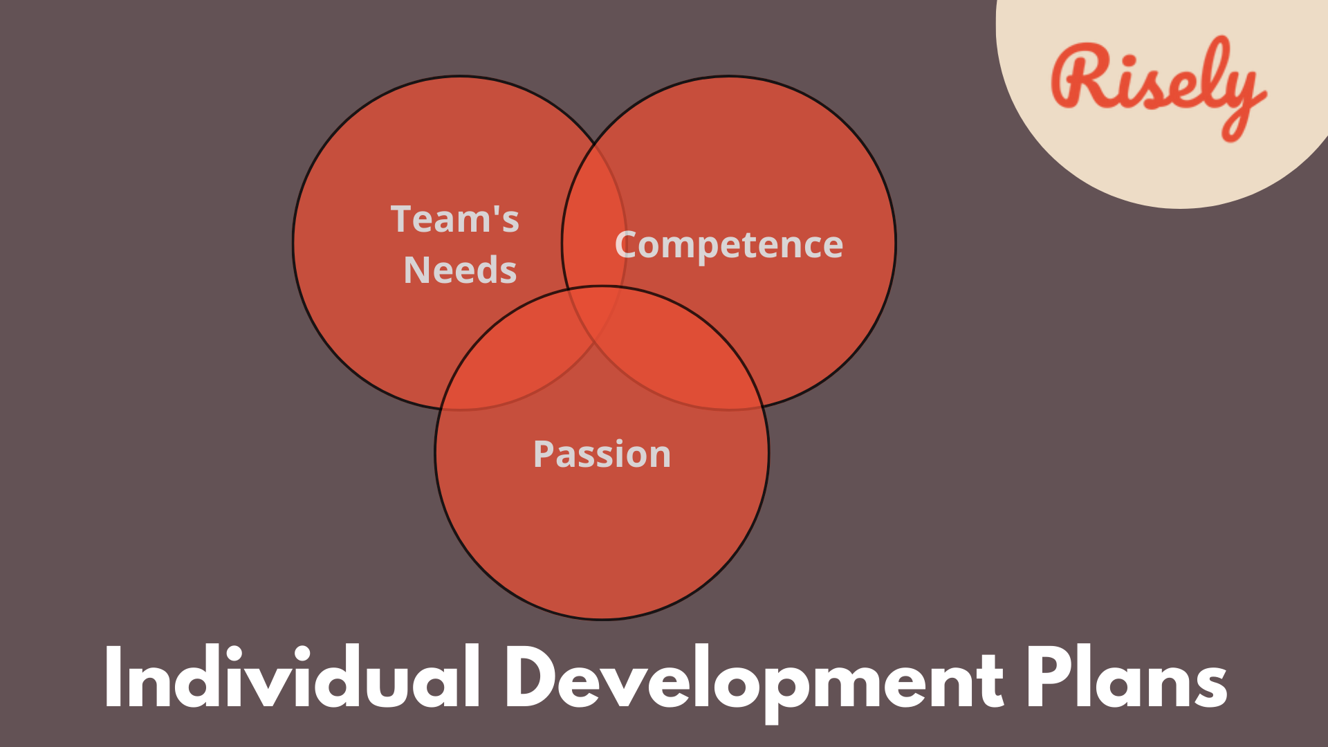 How To Create Strong Individual Development Plans With Examples Risely