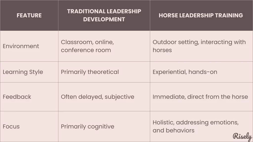 Difference between traditional leadership development learning and Horse leadership training