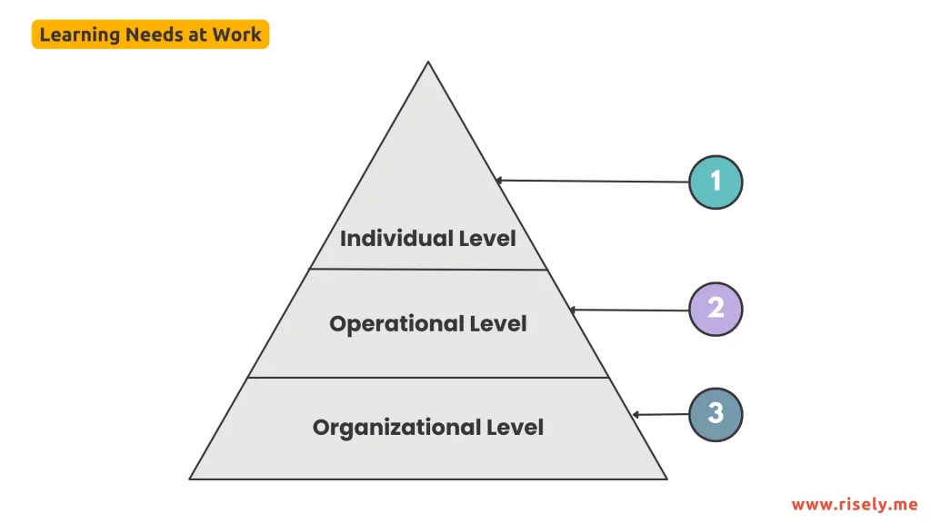 learning needs at work 