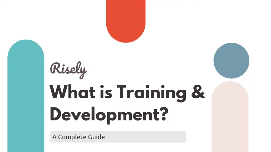 what is training and development