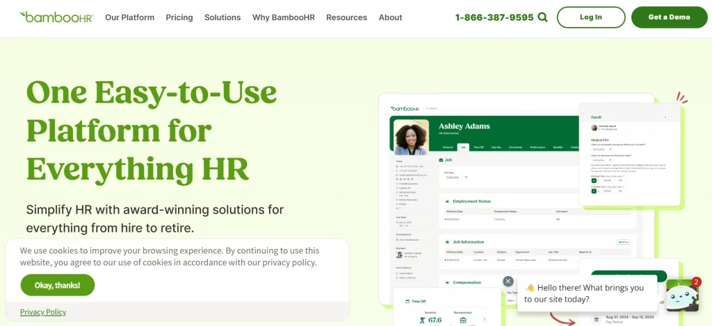 bambooHR dashboard