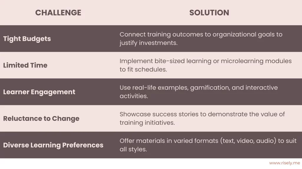 Common Challenges and Solutions in Training Delivery by Risely